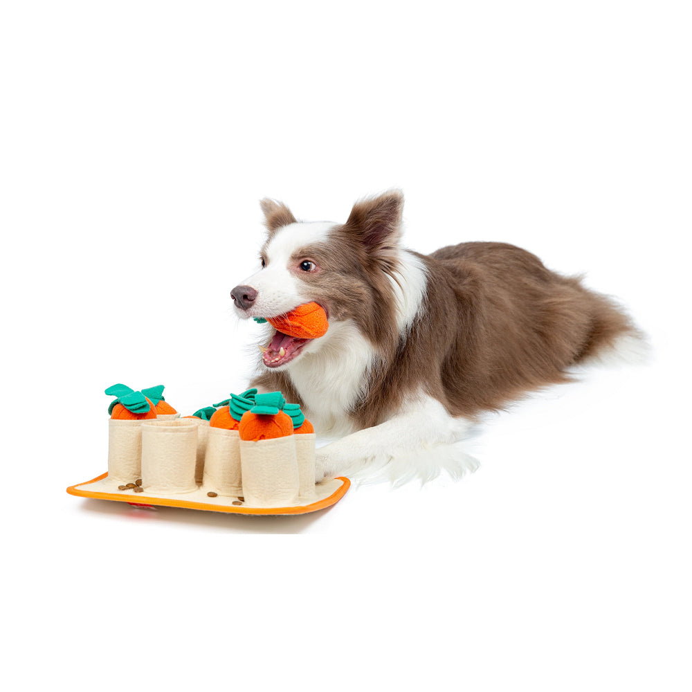 Carrot Patch Dog Snuffle Toy