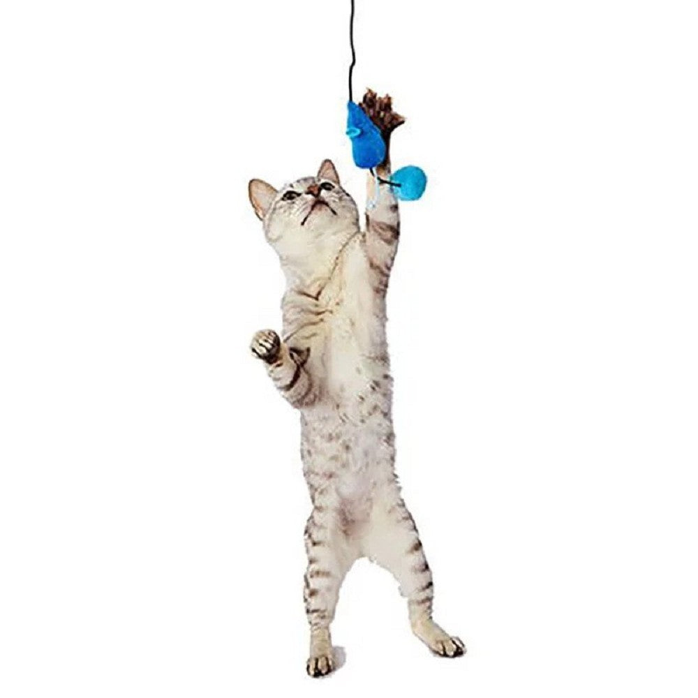 Blue Cat Teaser With Mouse & Ball
