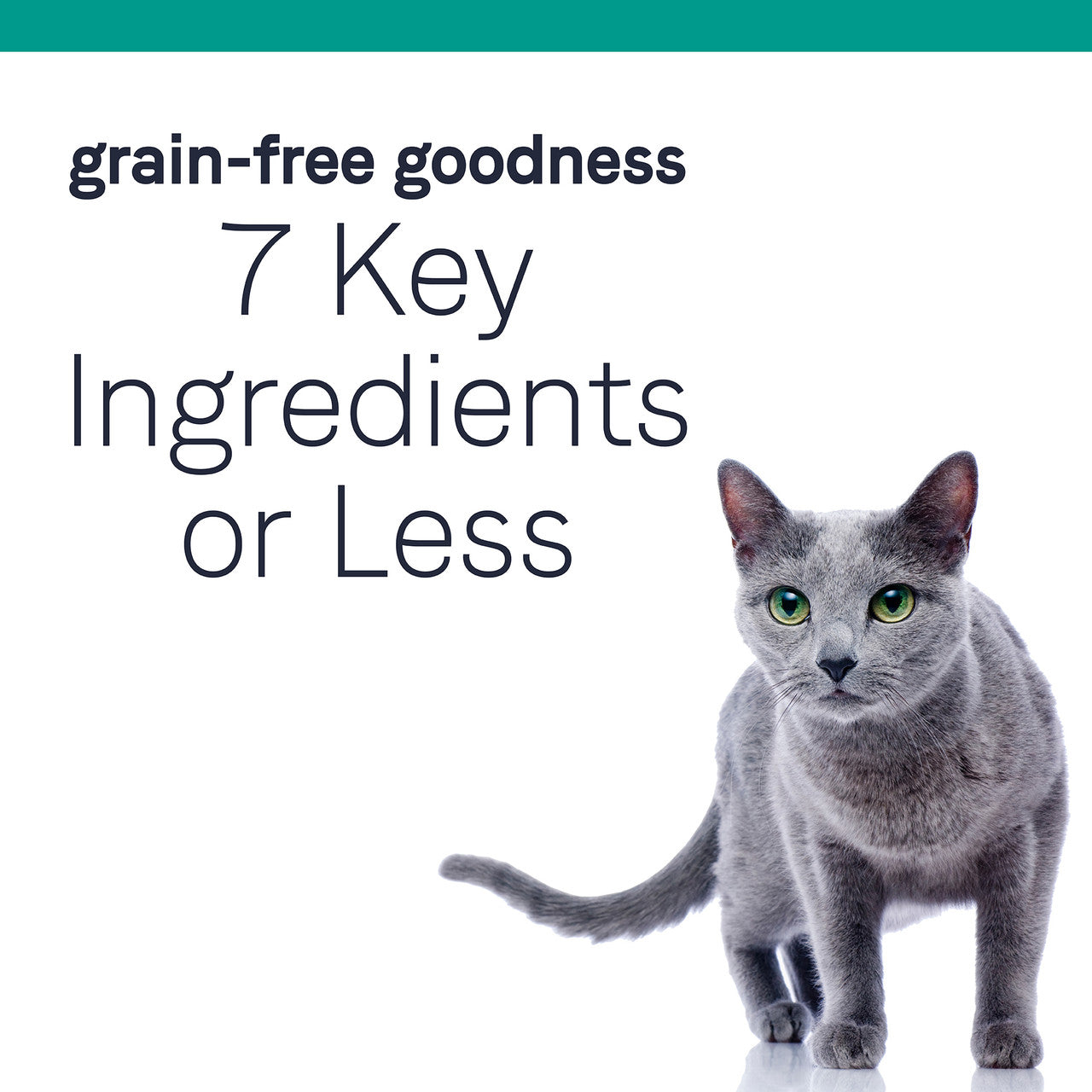 PURE Grain Free Cat Dry Food - Chicken