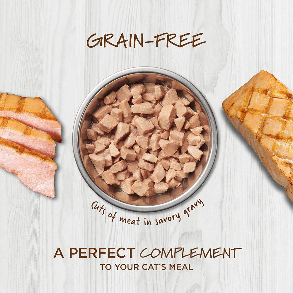 Healthy Cravings Grain Free Salmon Recipe Cat Pouch