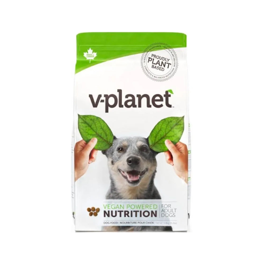 Adult Vegan Dog Dry Food