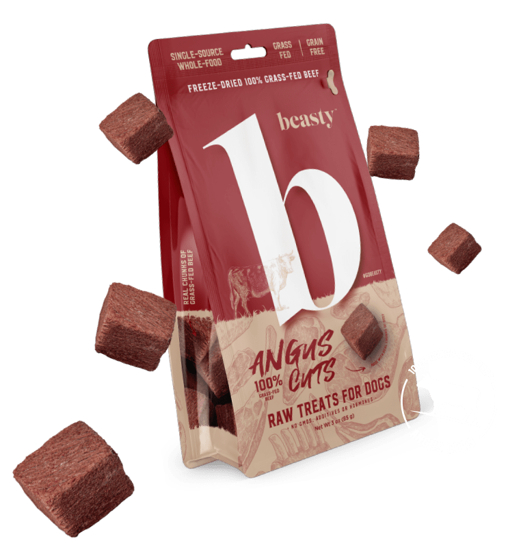Freeze Dried Angus Cuts Dog Treats