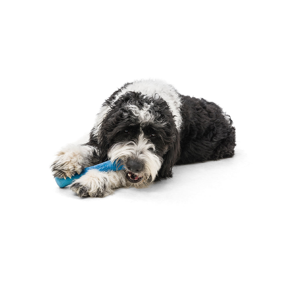 West Paw - Drifty Seaflex Dog Bone Chew Toy Blue