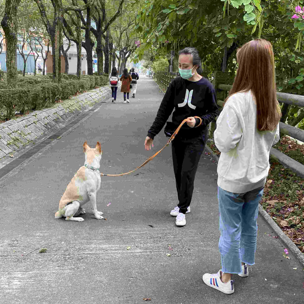 Proper Dog Walking Workshop By Eurica Li