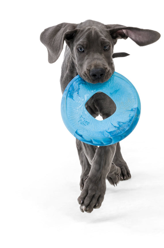 Saliz Seaflex Flying Disc Dog Toy