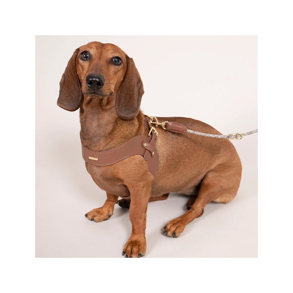 Metro Petite Dog Leather Harness