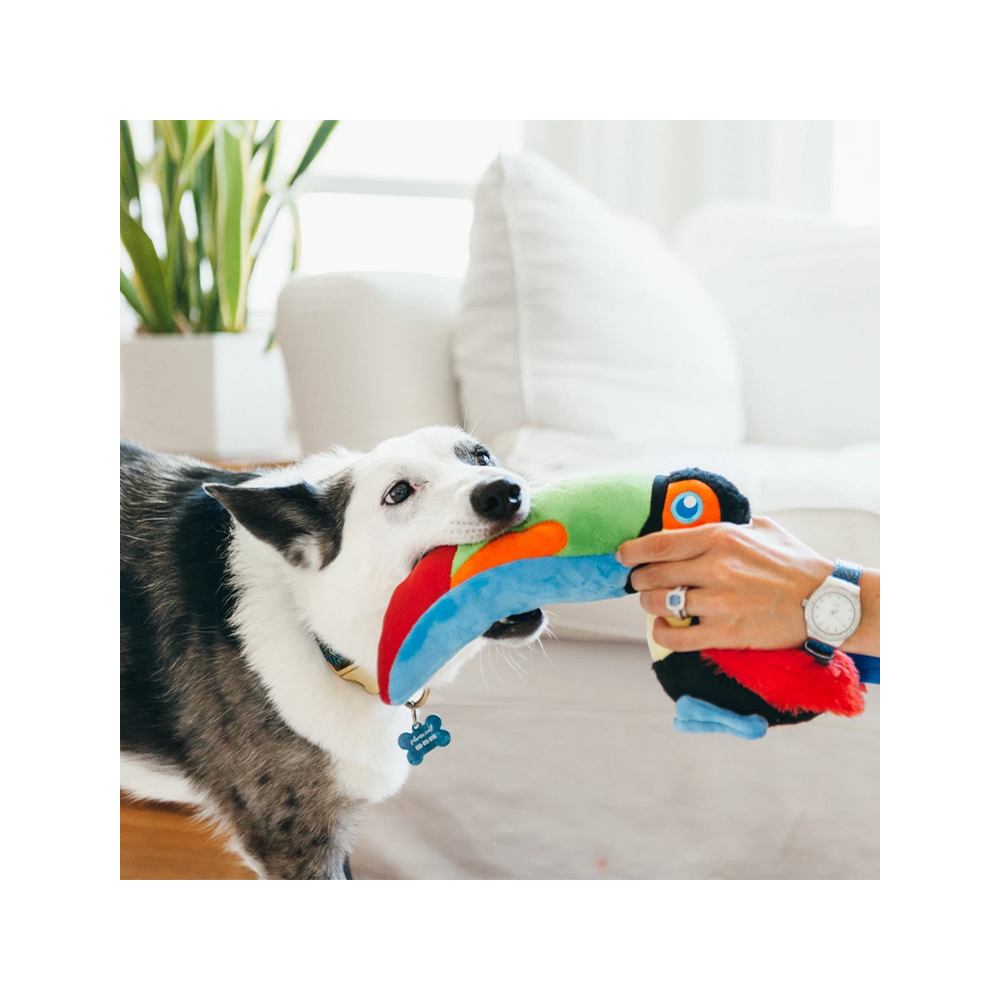 P.L.A.Y. - Fetching Flock Tito the Toucan Dog Plush Toy 
