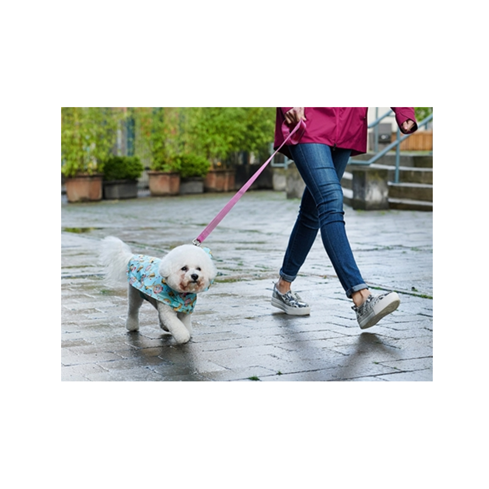 RC Pet Products - Packable Dog Rain Poncho Blue / Duck