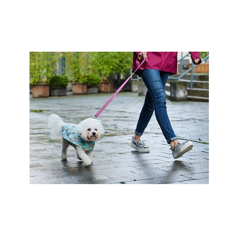 RC Pet Products - Packable Dog Rain Poncho Blue / Duck