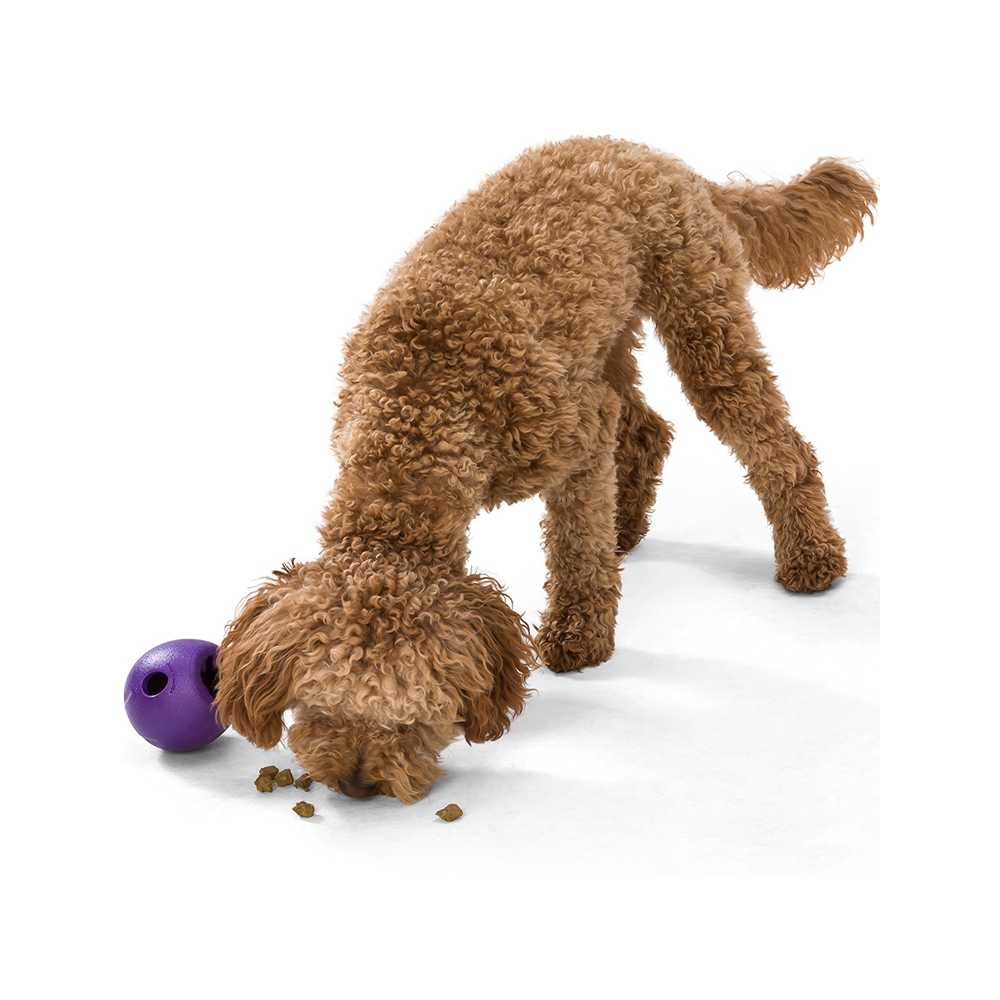West Paw - Rumbl Dog Treat Toy 