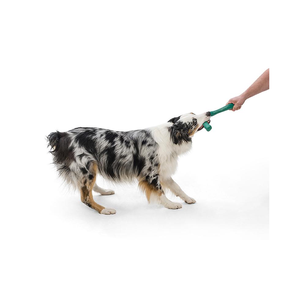 West Paw - Snorkl Seaflex Dog Fetch Toy 
