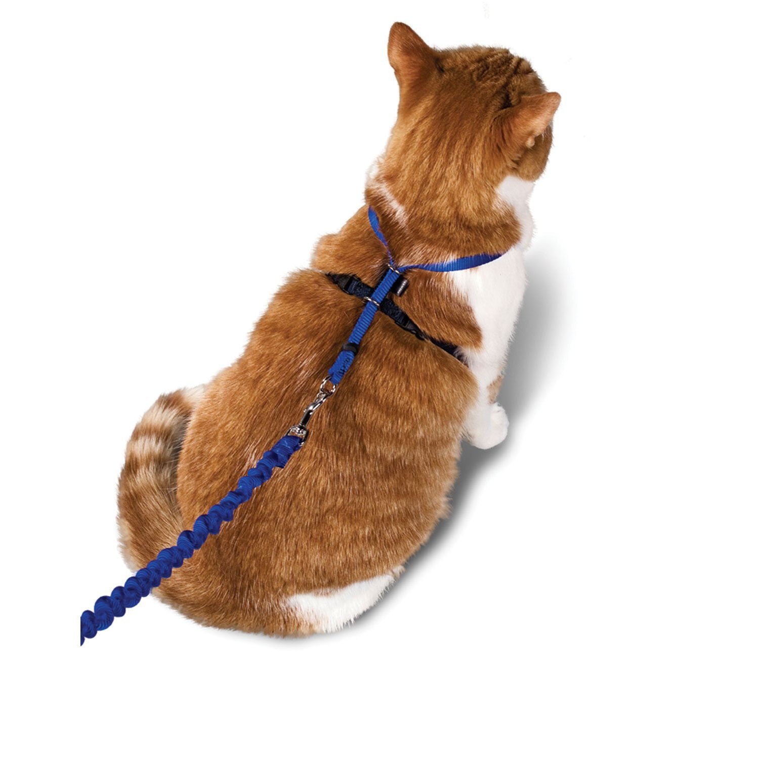 PetSafe - Come With Me Kitty Harness and Bungee Leash Green