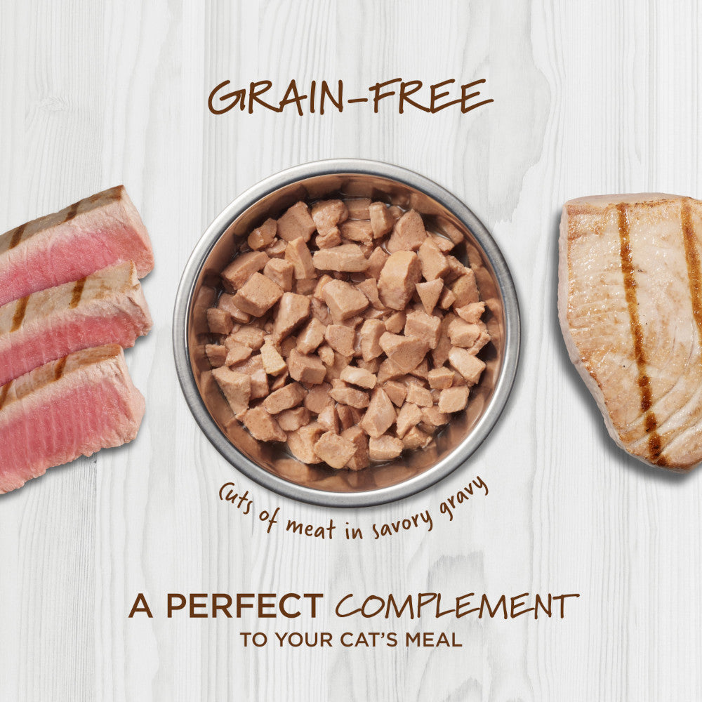 Healthy Cravings Grain Free Chicken Recipe Cat Pouch