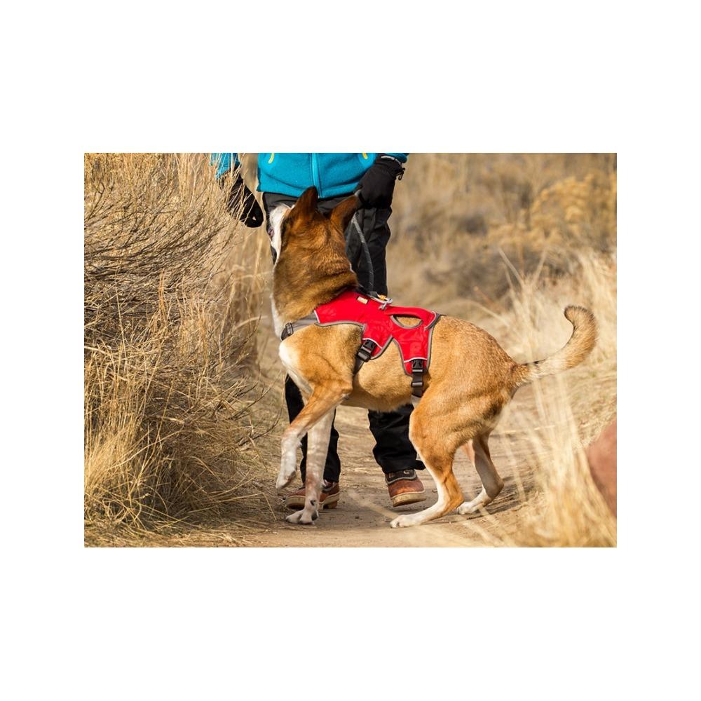 Ruffwear - Web Master Dog Harness Red