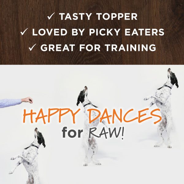 Raw Boost All Life Stages Freeze - Dried Gut Health Raw Mixers For Dogs