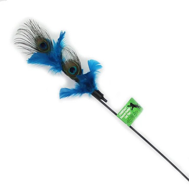 Peacock Feather toy