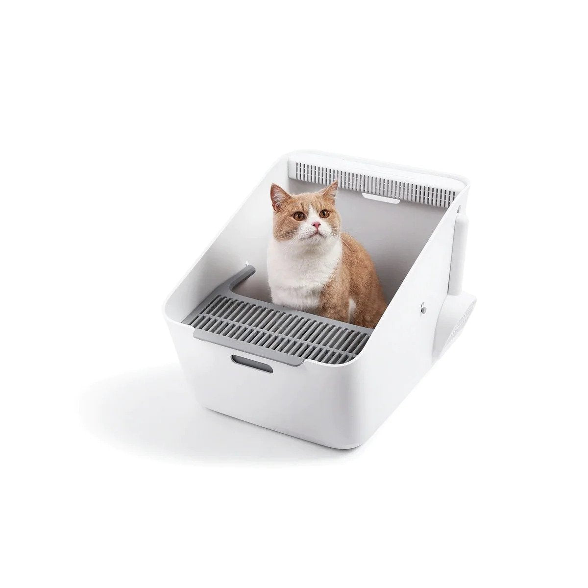 The Petkit Pura Air is Keeping My Home Free of Litter Box Odor · The Wildest
