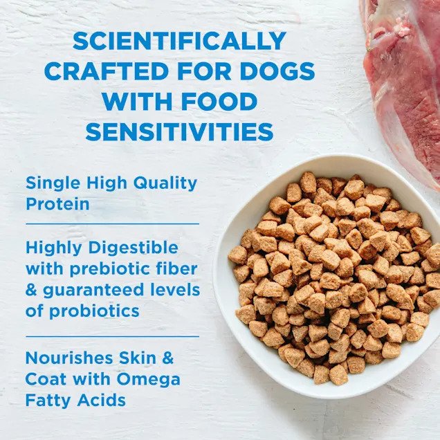 Simple Limited Ingredient Salmon & Potato Dog Dry Food