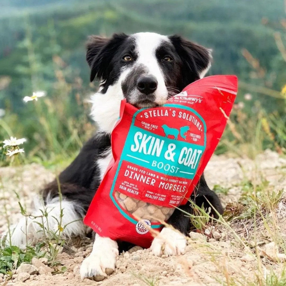 Stella's Solutions Skin & Coat Boost Freeze Dried Grass-Fed Lamb & Wild-Caught Salmon - Dinner Morsels Dog Food