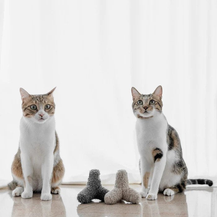 Kitten Breuer Bell Balls Cat Toy