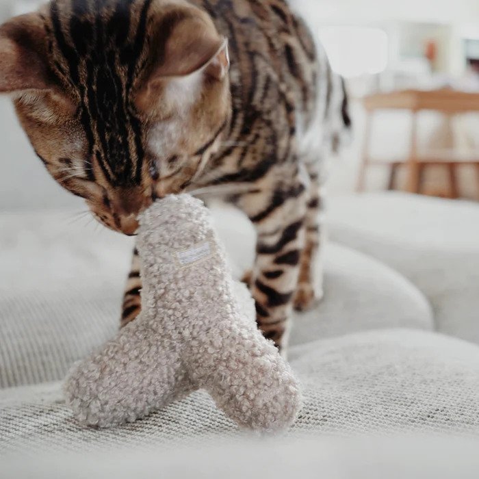 Kitten Breuer Bell Balls Cat Toy