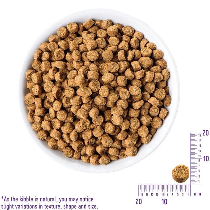 Complete Health Salmon Puppy Dry Food