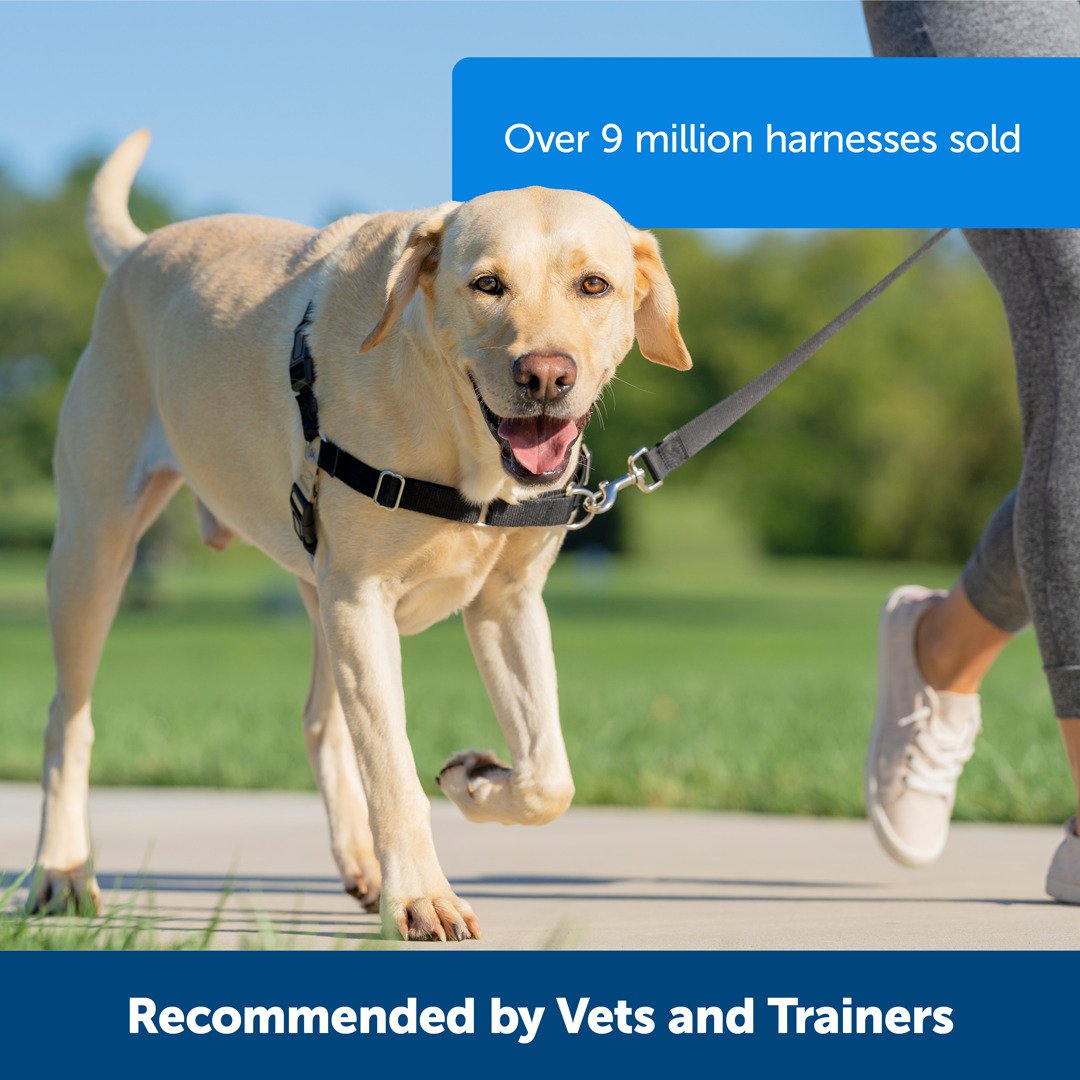 Priemier Easy Walk Dog Harness