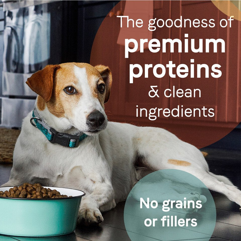 PURE Weight Management Grain Free Dog Dry Food - Chicken & Pea
