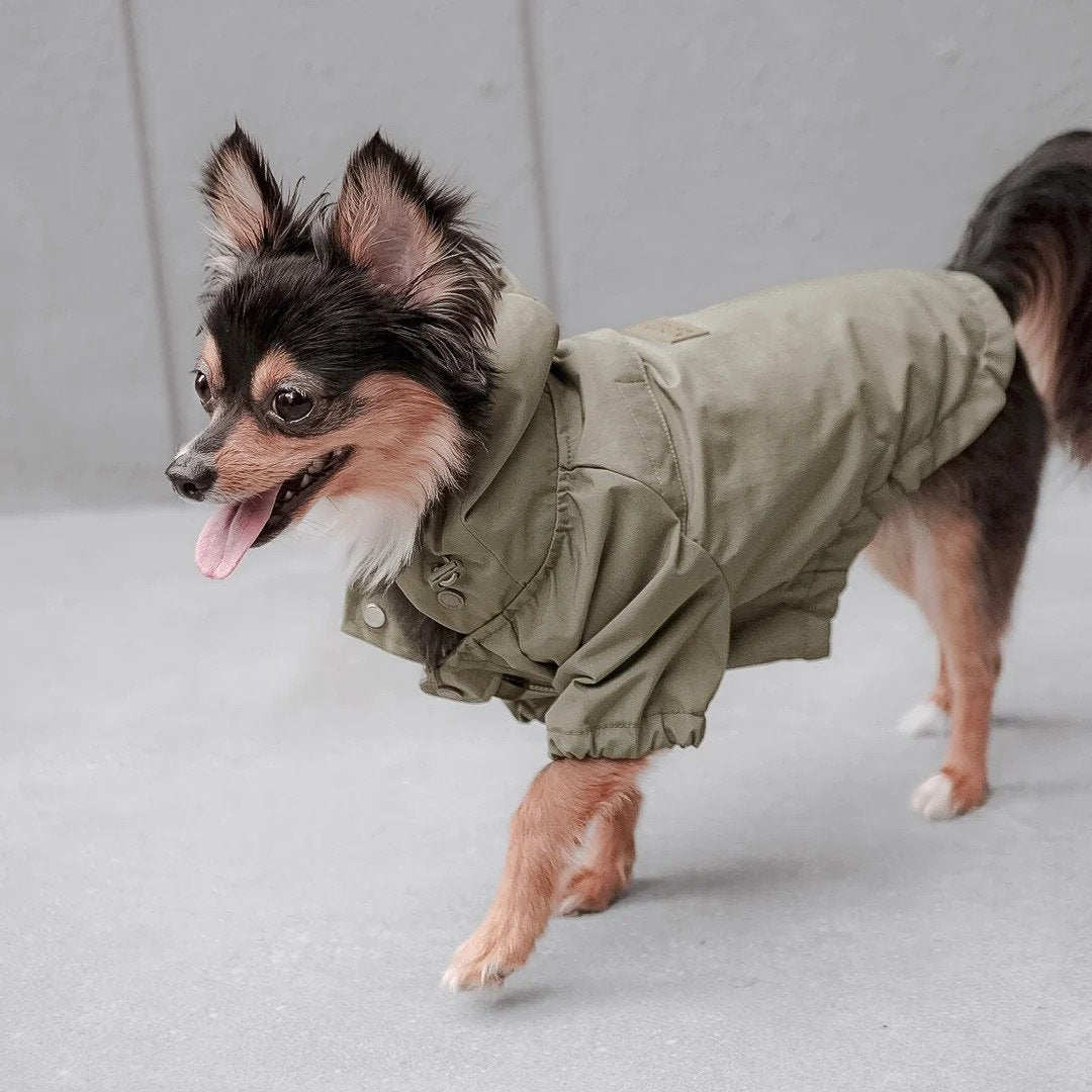 Brooklyn Dog Raincoat
