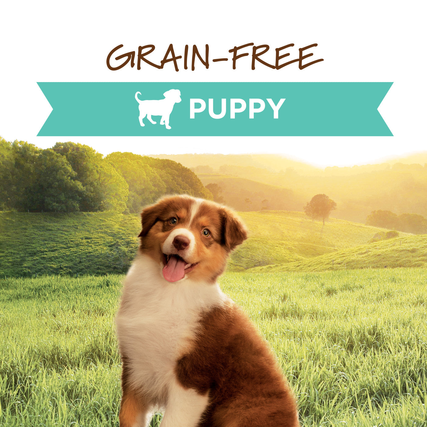 Original Grain Free Chicken Puppy Canned