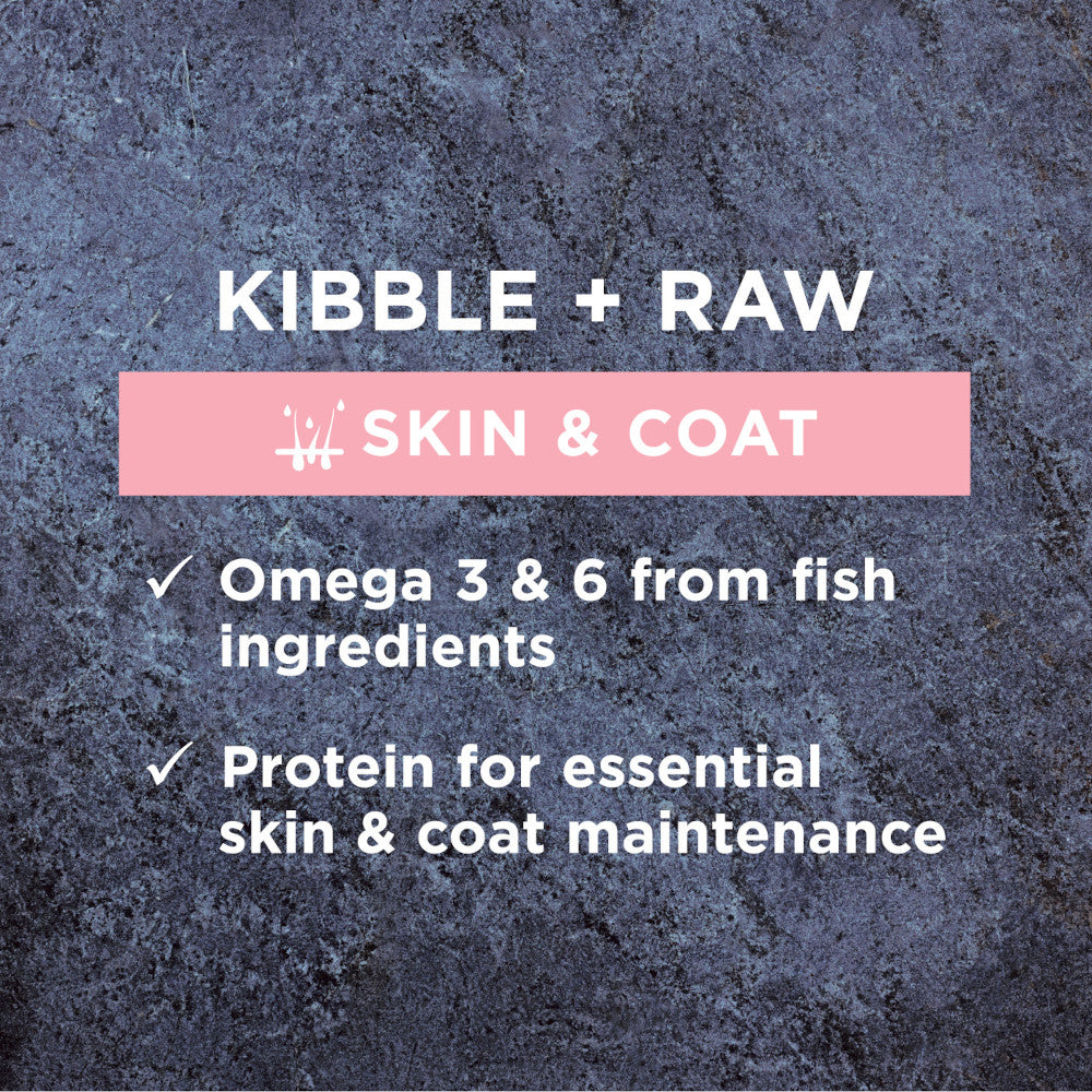 Raw Boost Skin & Coat Grain Free Kibble + Raw Adult Dog Dry Food - Chicken