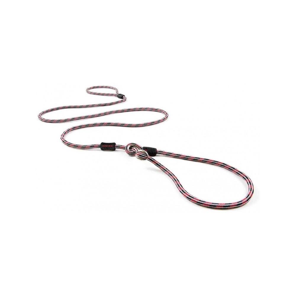 Ezydog - Luca Dog Collar Leash Combo Red