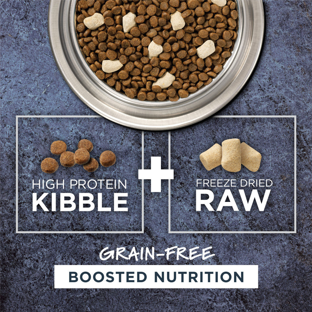 Raw Boost All Life Stages Grain Free Kibble + Raw Cat Dry Food - Chicken