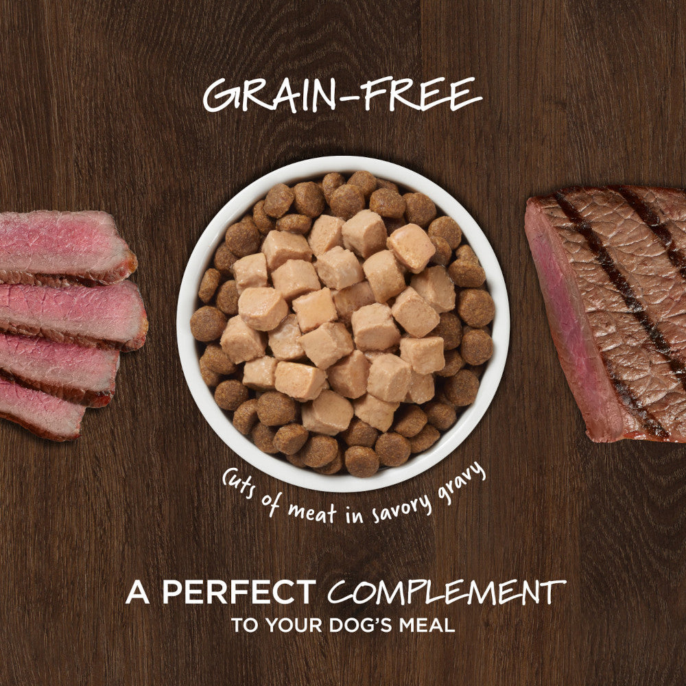Healthy Cravings Grain Free Beef Complement Dog Pouch