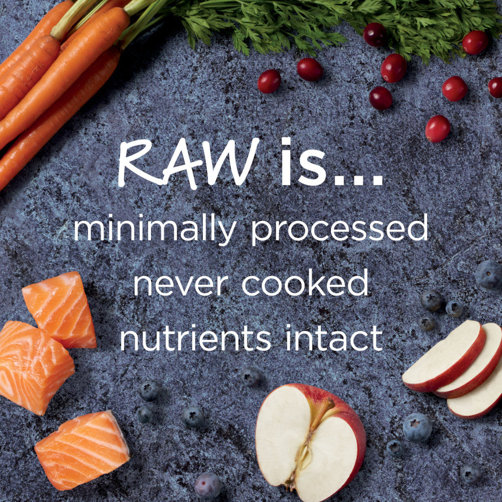 Raw Boost Grain-Free Recipe Kibble + Raw Dog Dry Food- Salmon