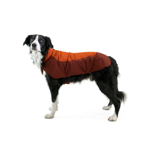Vert Dog Jacket